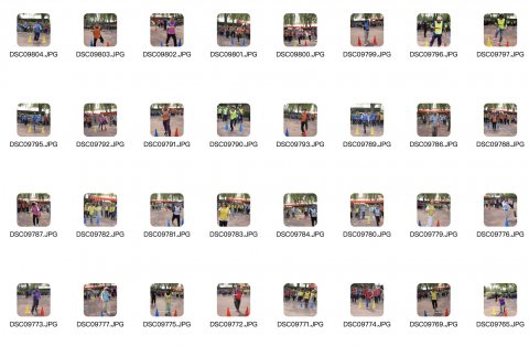 兴开盛林投资公司职工运动会